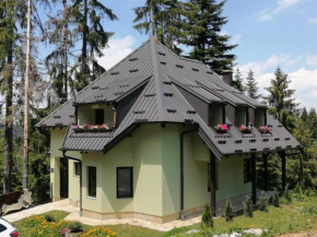 Vila PARADIZO-ZLATAR, studio apartman 1